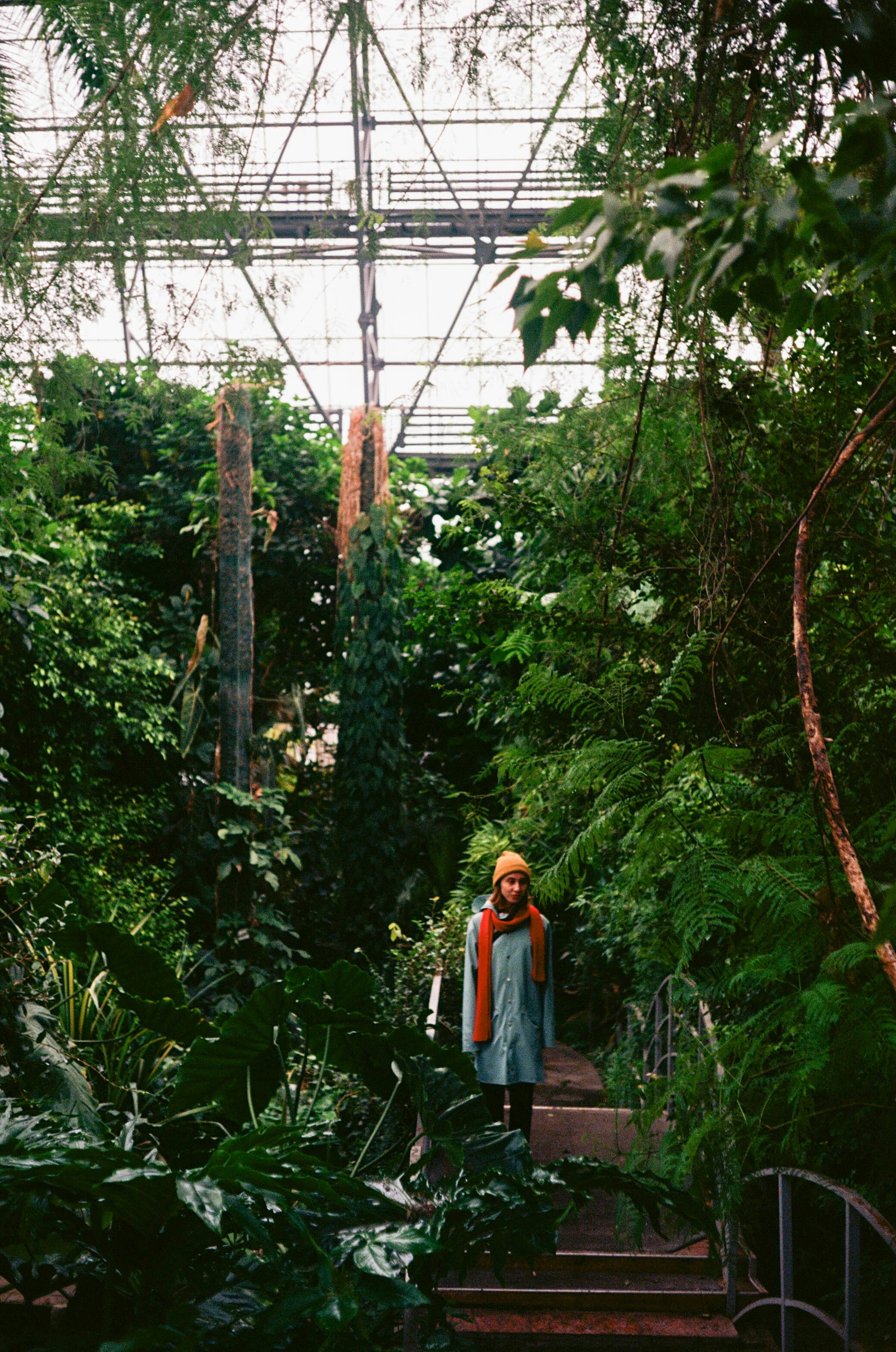 woman in orange jacket standing on forest during daytime